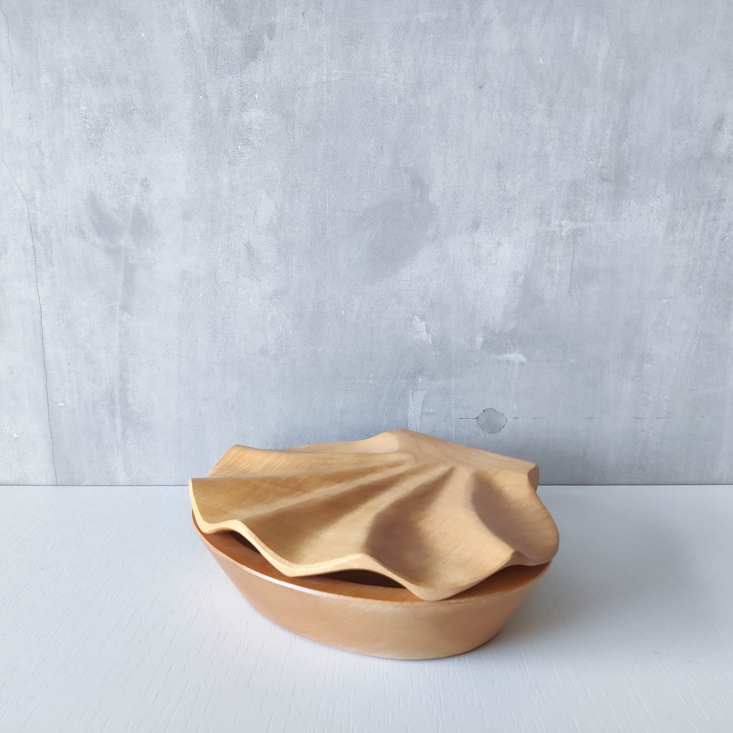 Sculptural hand carved beech wood scallop shell trinket box