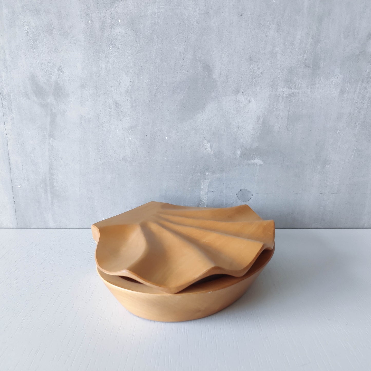 Sculptural hand carved beech wood scallop shell trinket box