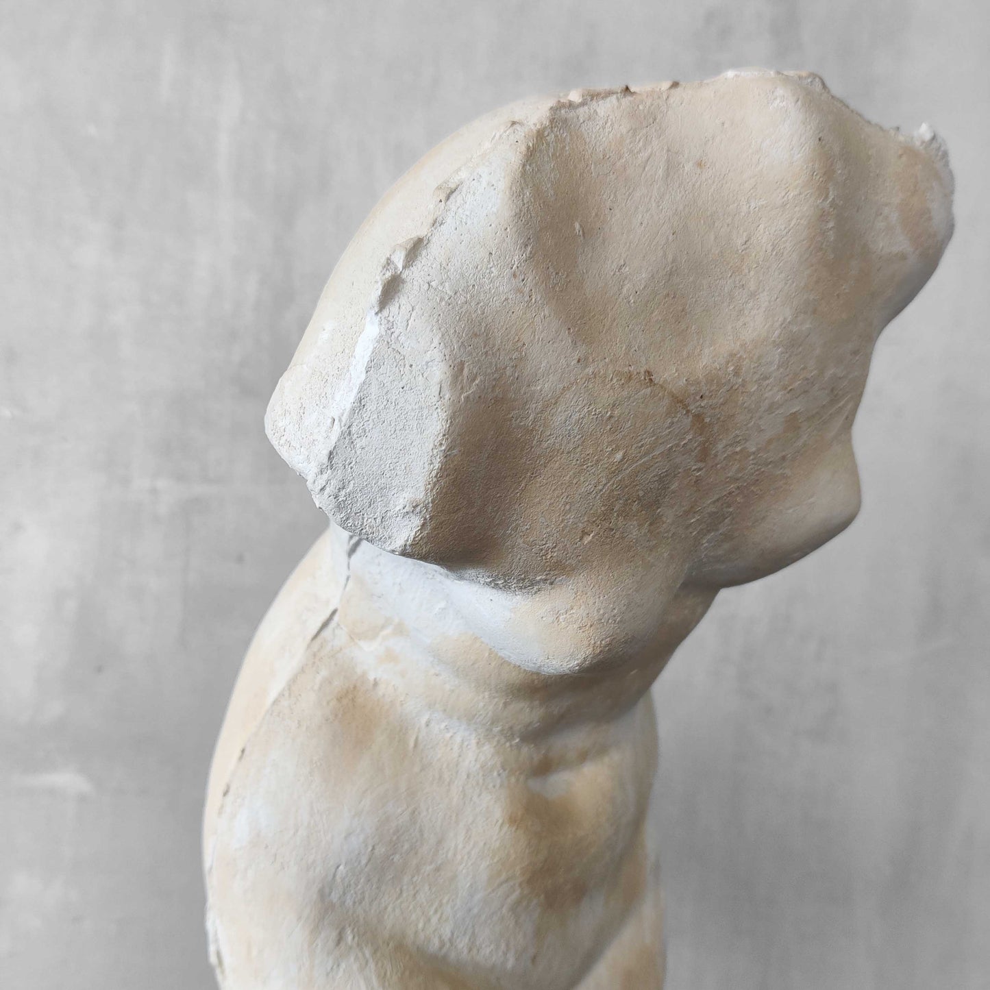 A large vintage studio plaster cast sculpture study of a female torso